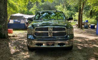 Anita's photo at Hog Island Campground — Withlacoochee State Forest near Lake Panasoffkee, FL
