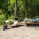 Review photo of Hog Island Recreation Area by Anita , July 9, 2021