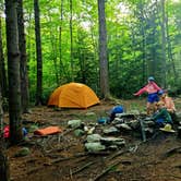 Review photo of Dolly Sods Backcountry by Megan B., July 9, 2021