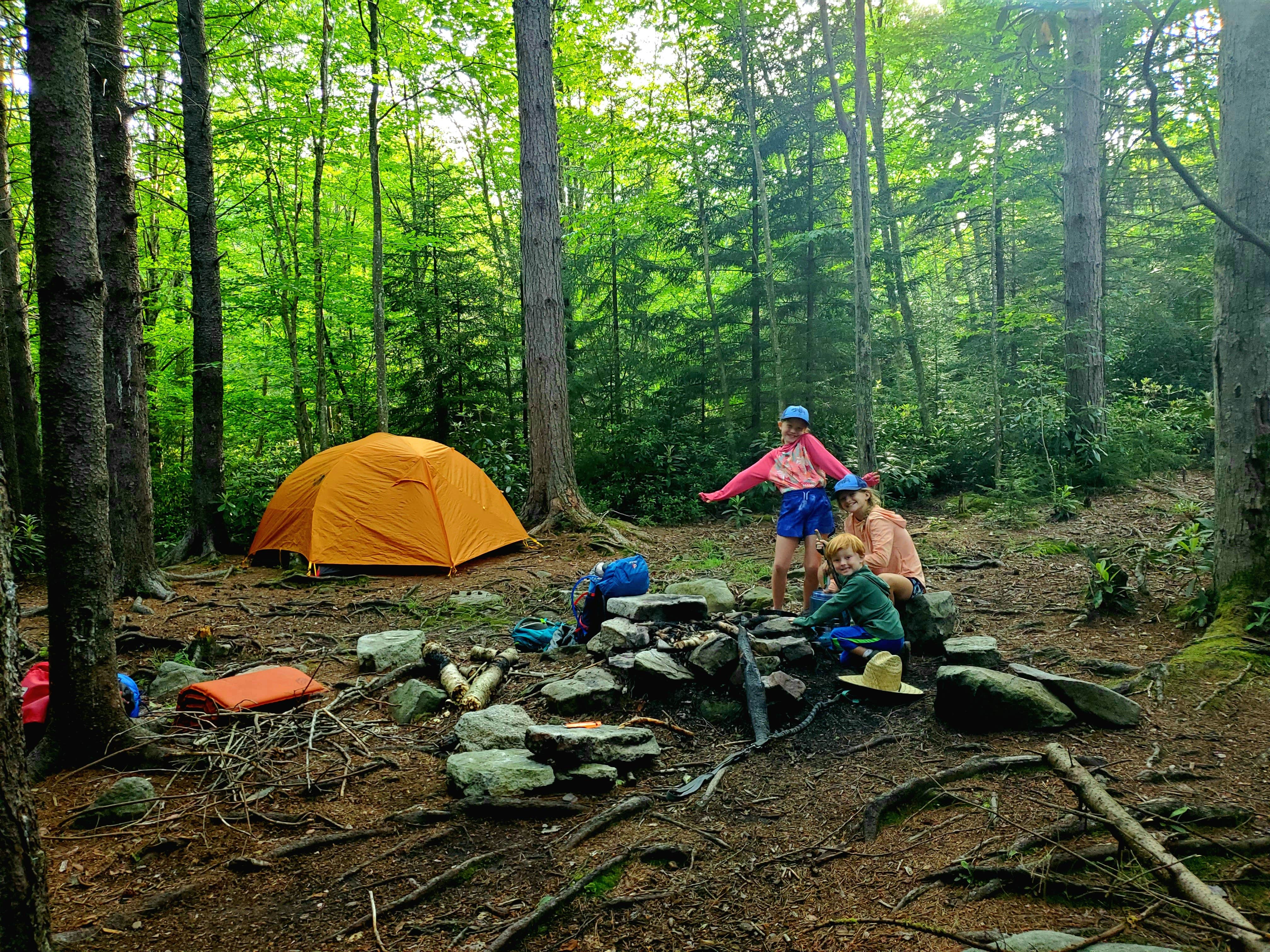 Camper submitted image from Dolly Sods Backcountry - 1