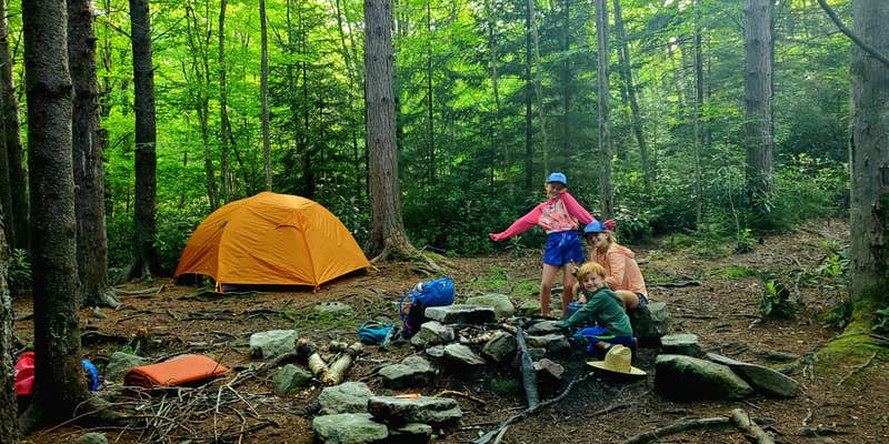 Camper submitted image from Dolly Sods Backcountry