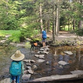 Review photo of Dolly Sods Backcountry by Megan B., July 9, 2021