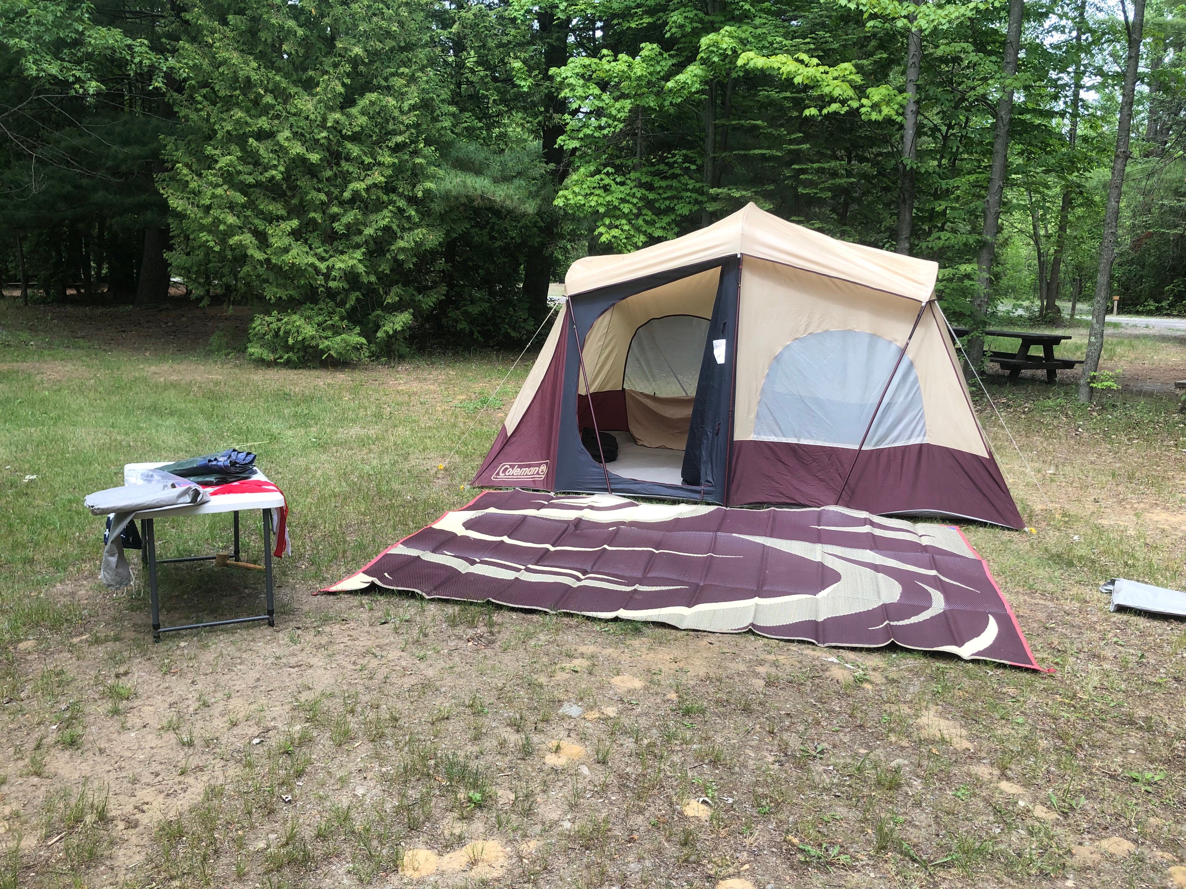 Camper submitted image from AuSable River Campsite - 1