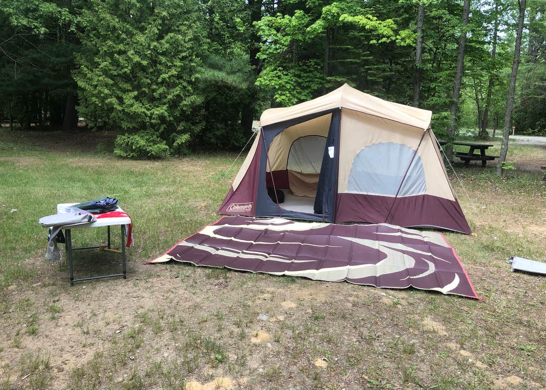 AuSable River Campsite Camping The Dyrt