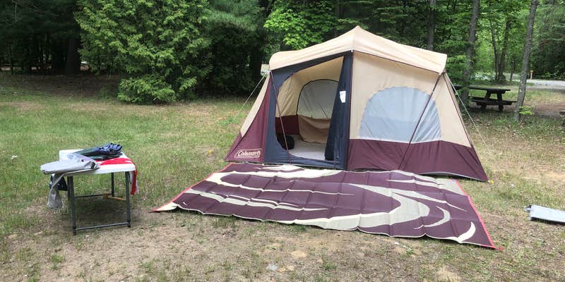 Camper submitted image from AuSable River Campsite