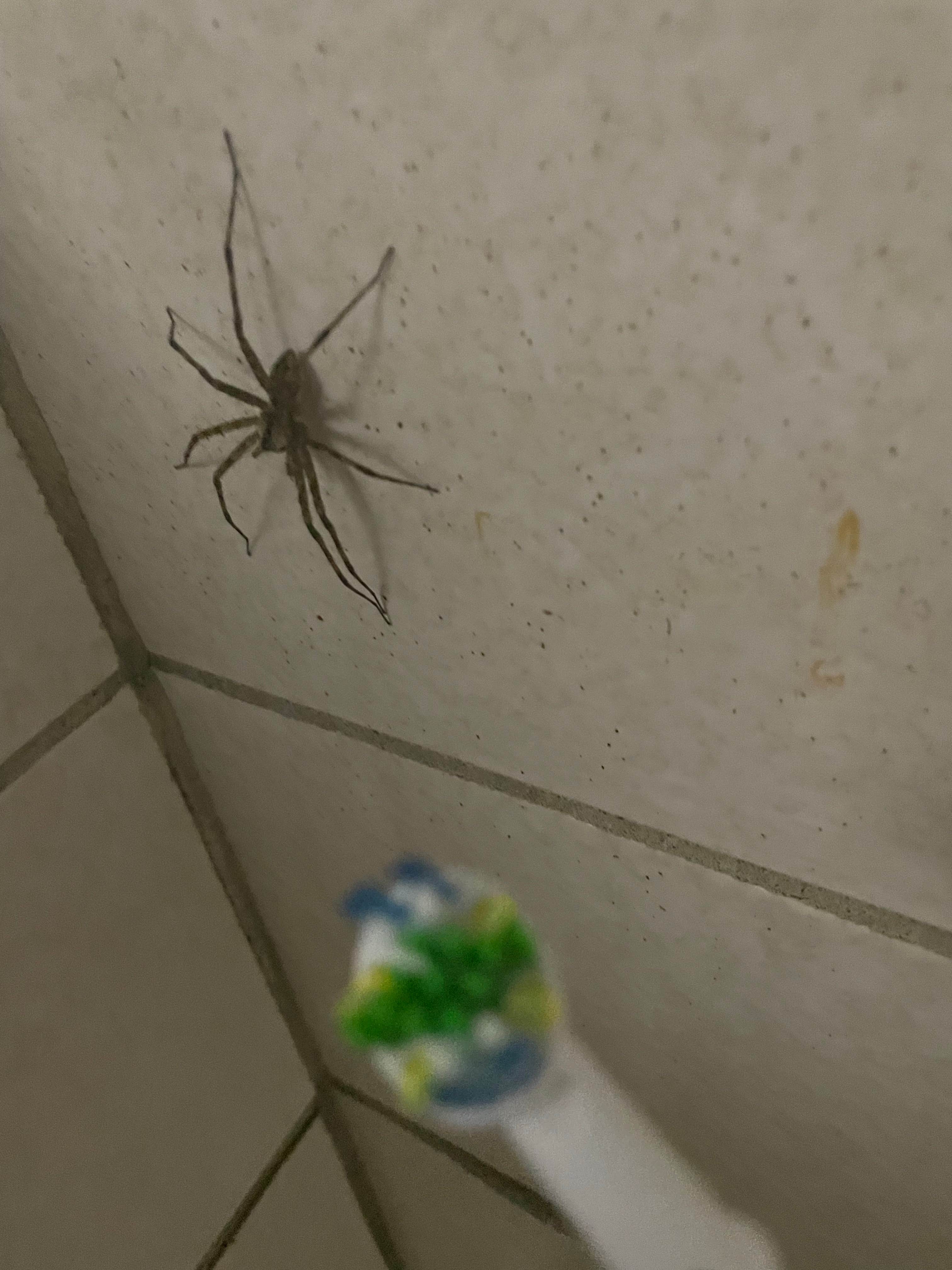 Camper-submitted photo at Caddo River Access RV Park near Murfreesboro, AR