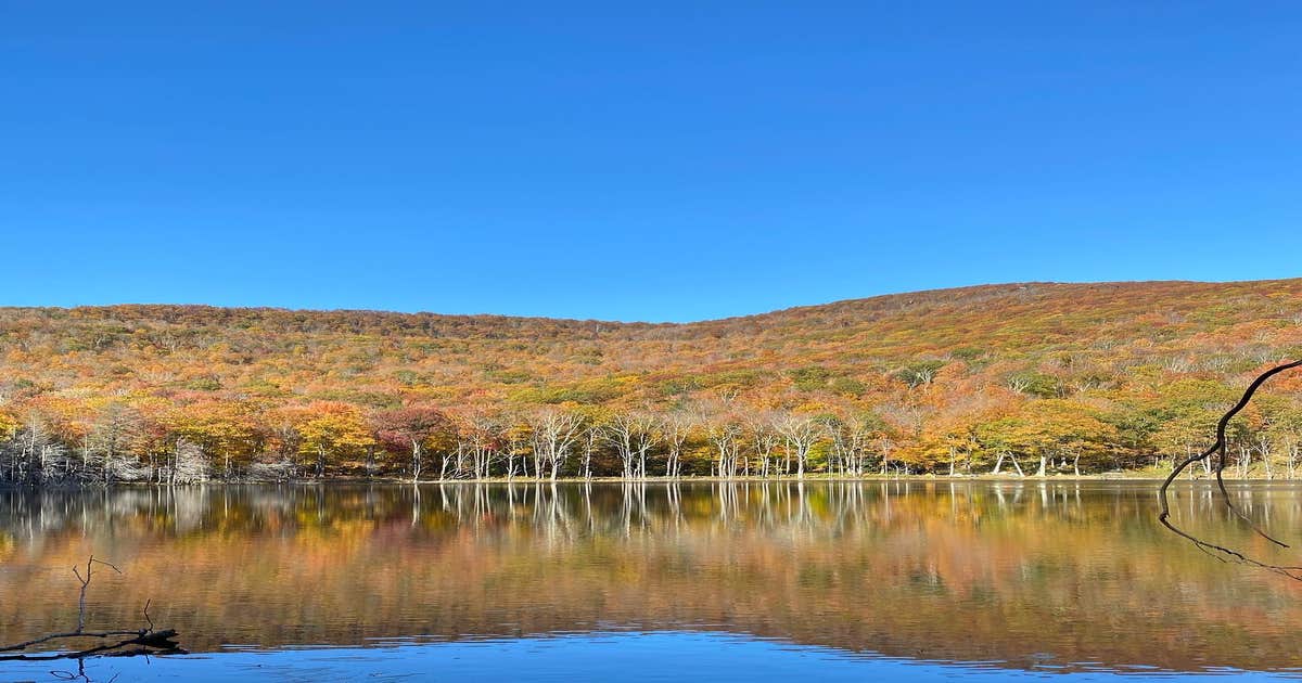 Echo Lake Camping Woodstock, NY