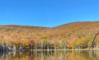 Kate's photo of a dispersed camping area at Echo Lake near South Kent, CT