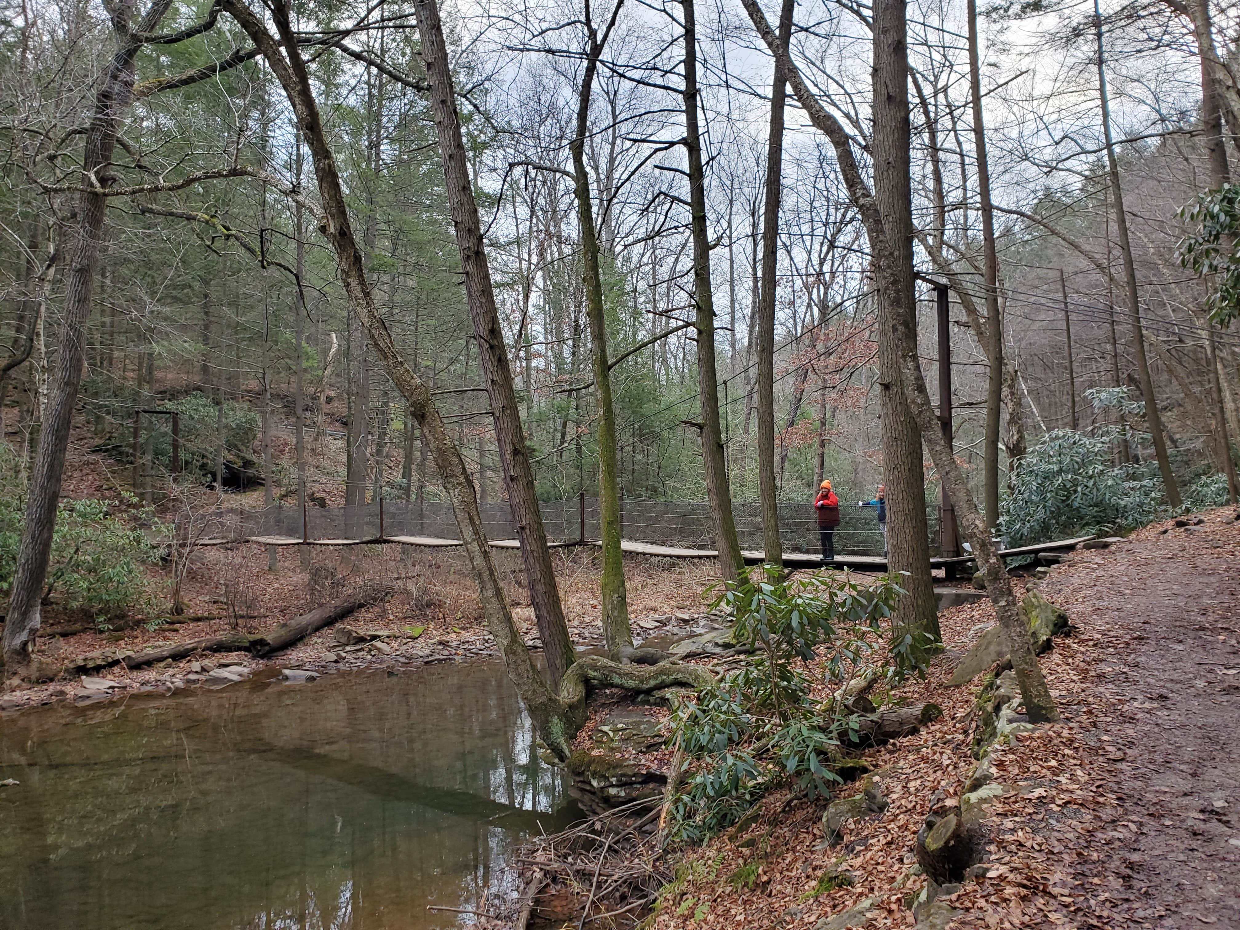 Camper submitted image from Trough Creek State Park Campground - 3