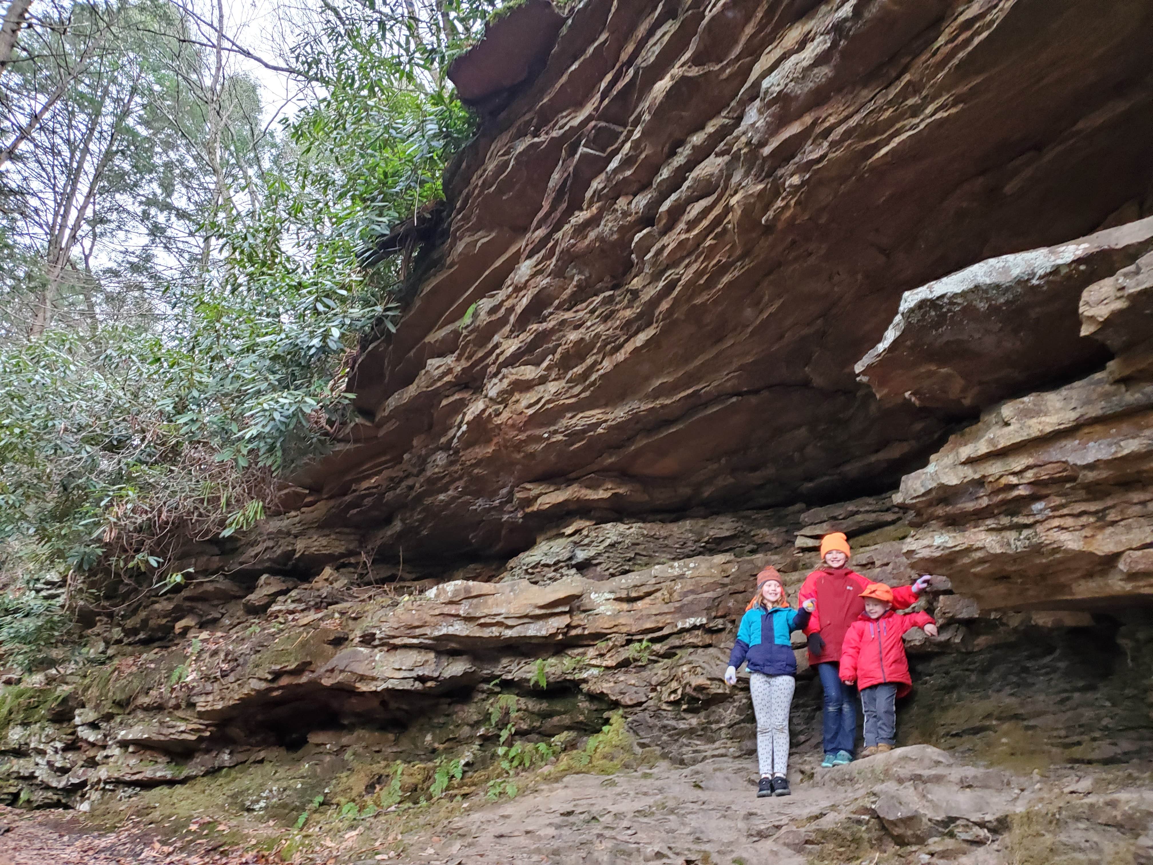 Camper submitted image from Trough Creek State Park Campground - 5