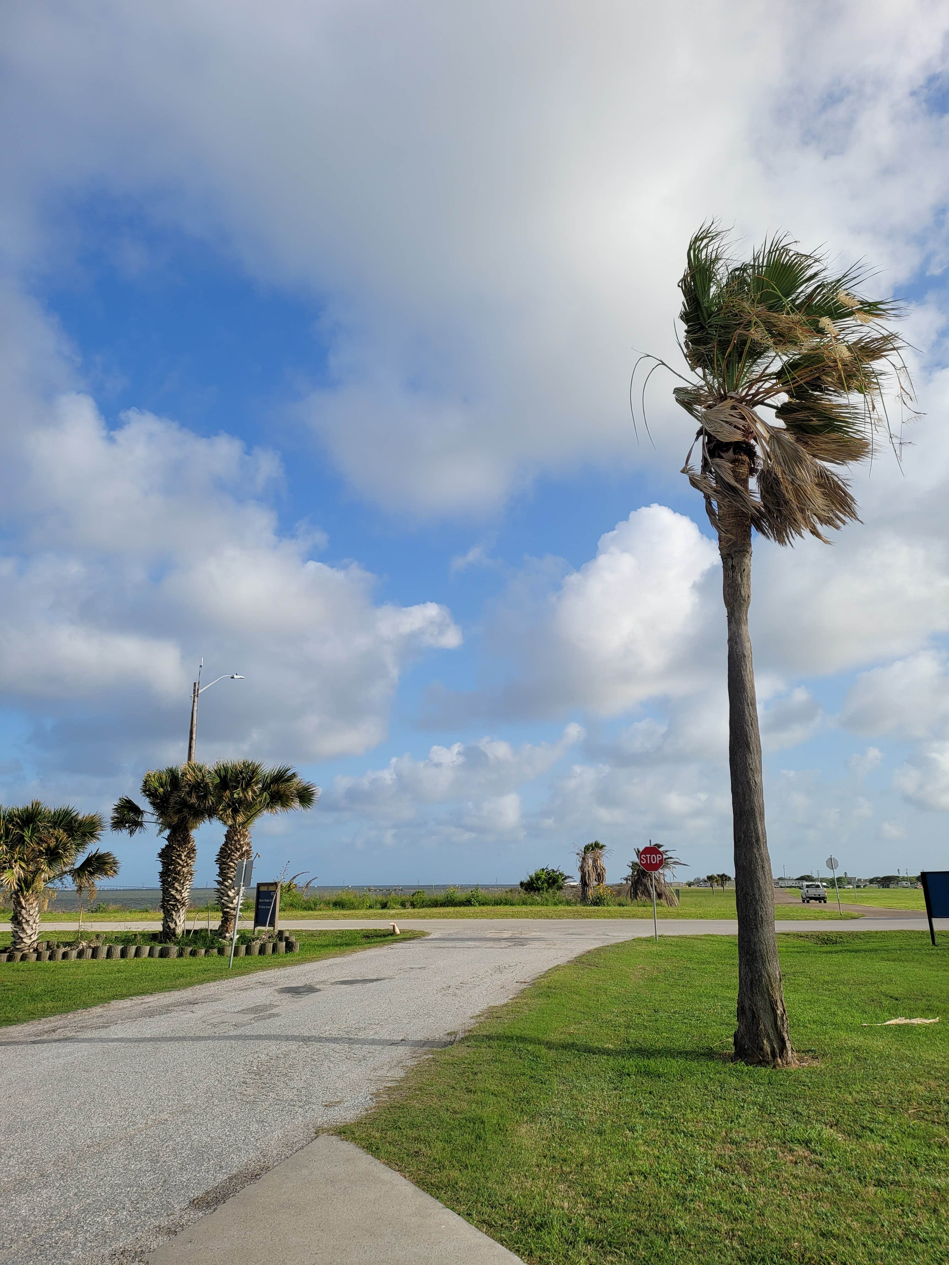 Camper submitted image from NAS RV Park Corpus Christi - 3