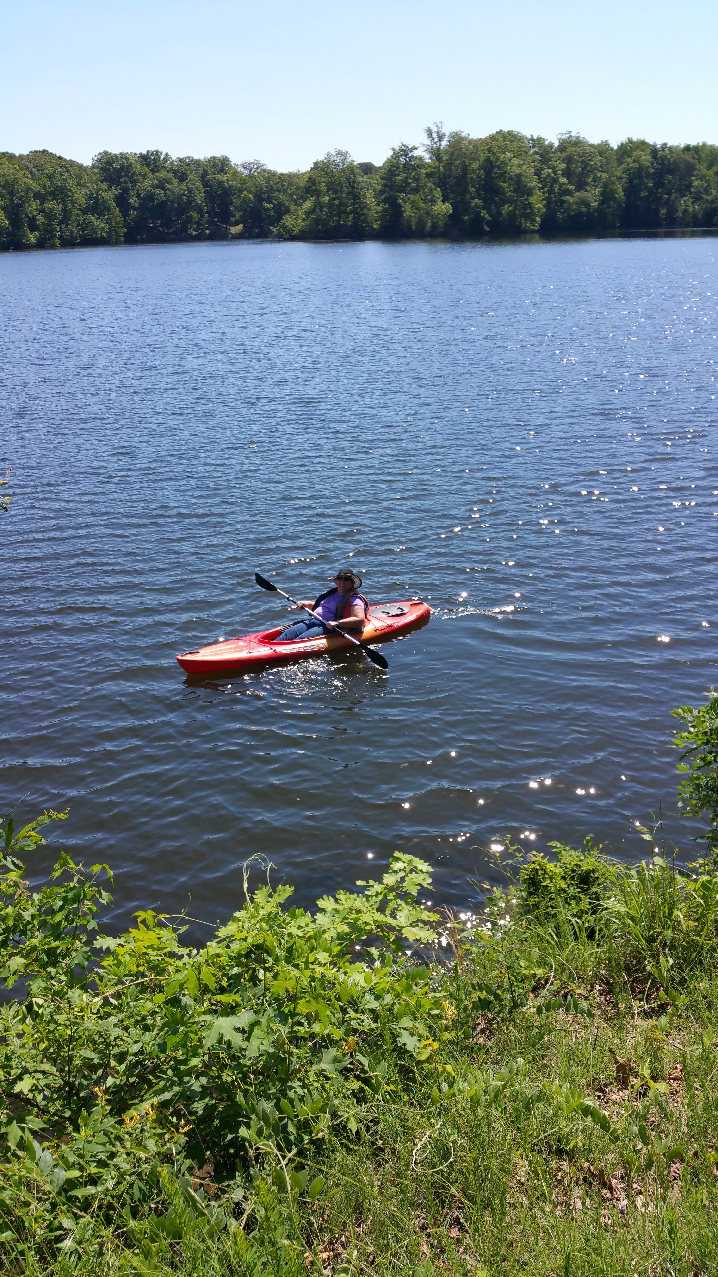 Mississippi River State Park Campground | LaGrange, Arkansas