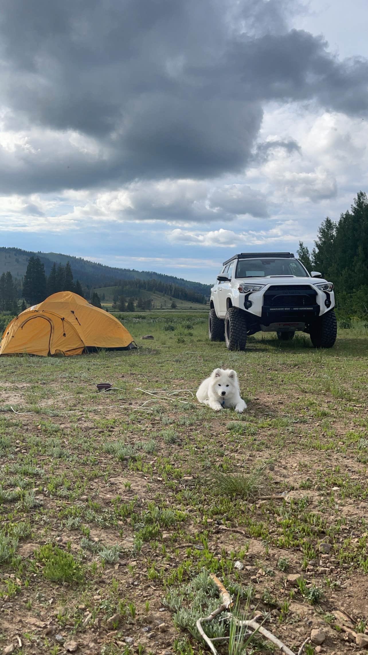 Camper submitted image from Franklin Basin Winter Trail Campsite - 2