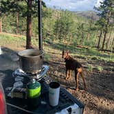 Review photo of Gordon Gulch Dispersed Area by Dan  W., July 9, 2021