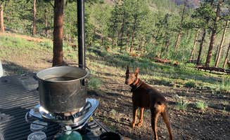 Dan W.'s photo of camping with pets at Gordon Gulch Dispersed Area near Boulder, CO