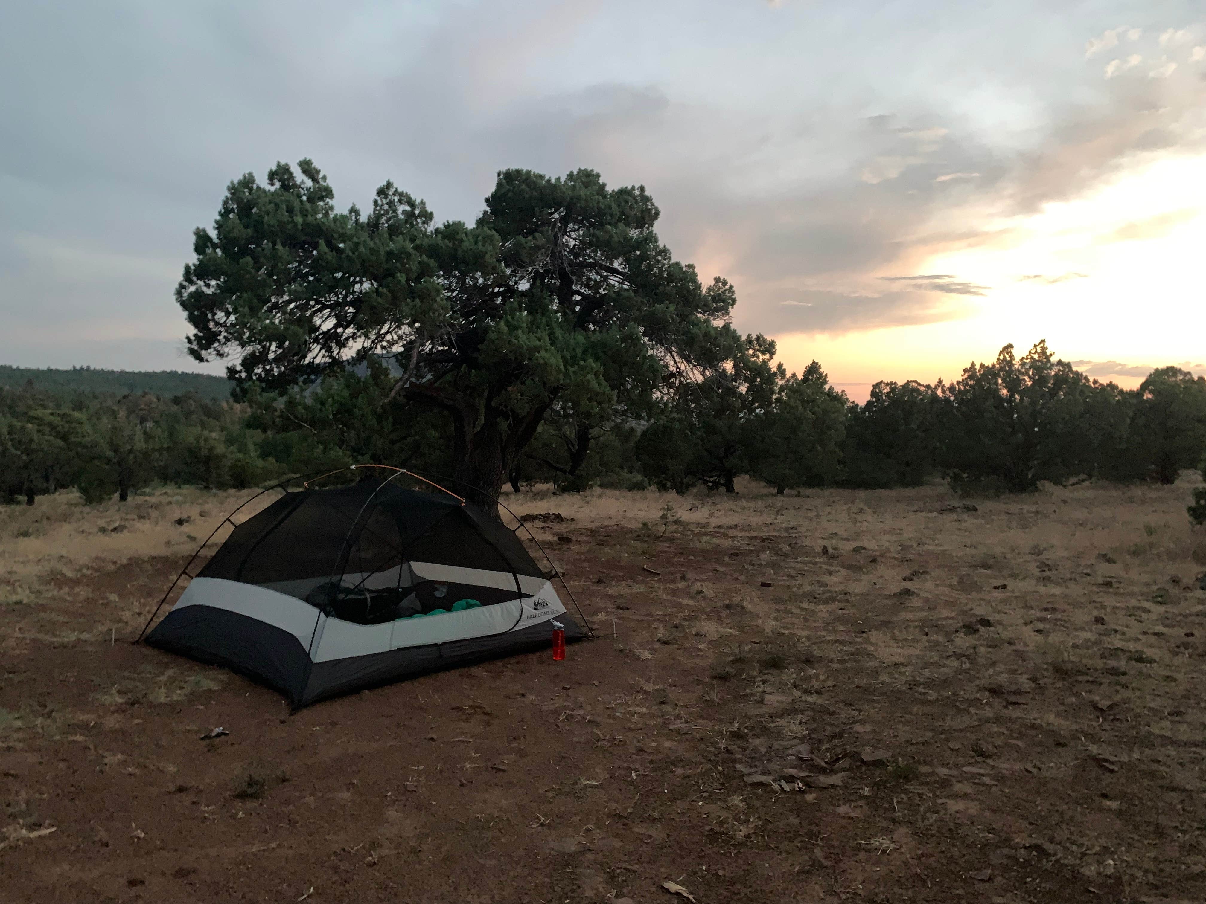 Best dispersed camping near Payson, Arizona The Dyrt
