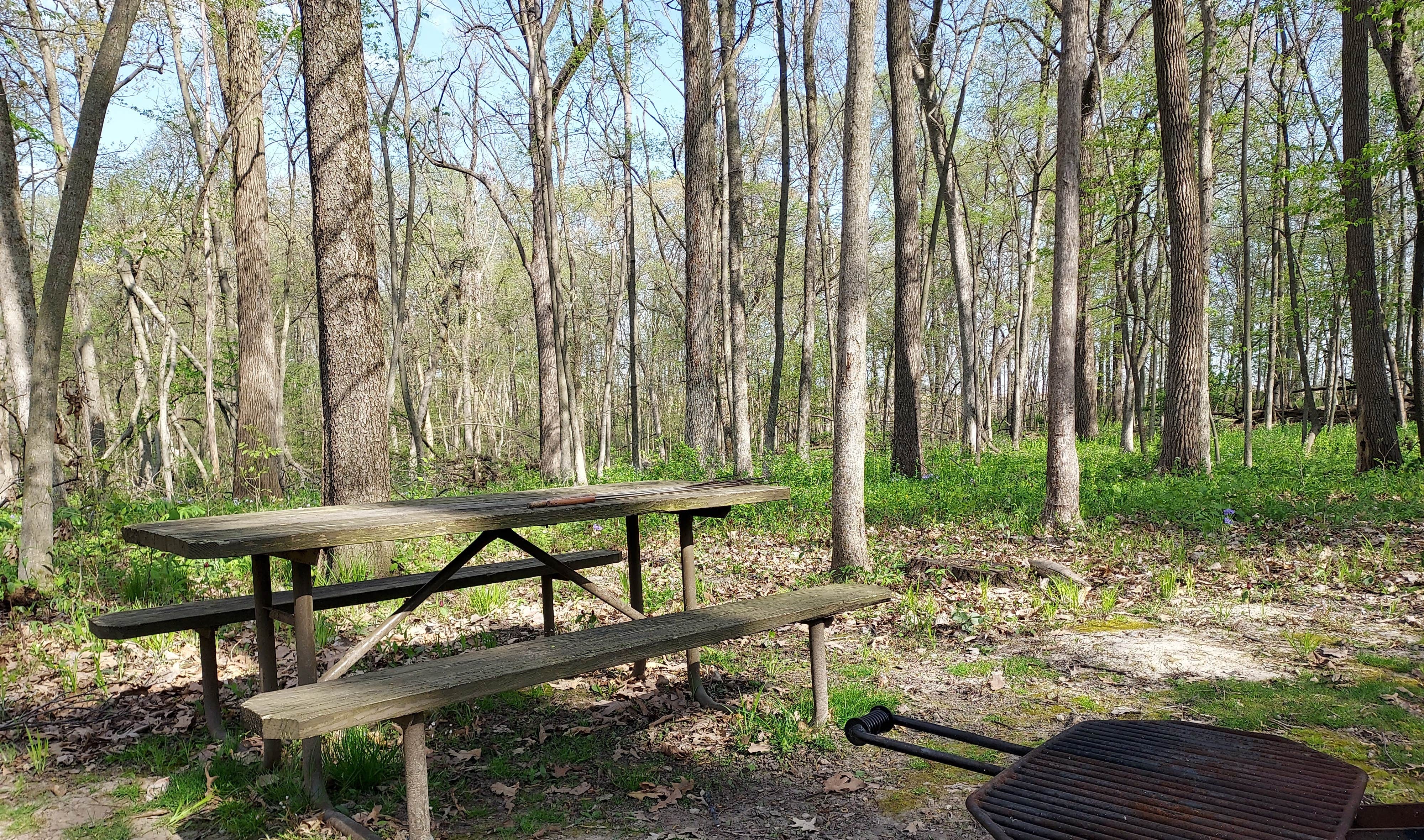 Camper submitted image from Morrison-Rockwood State Park - 5