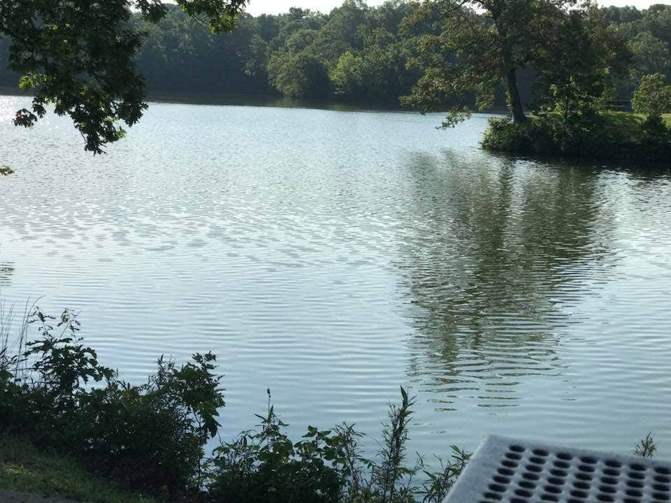 Mississippi River State Park Campground | Marianna, AR