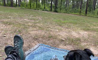Ashley W.'s photo of camping with pets at Lenox Marcus Recreation Area & Campground in Arkansas