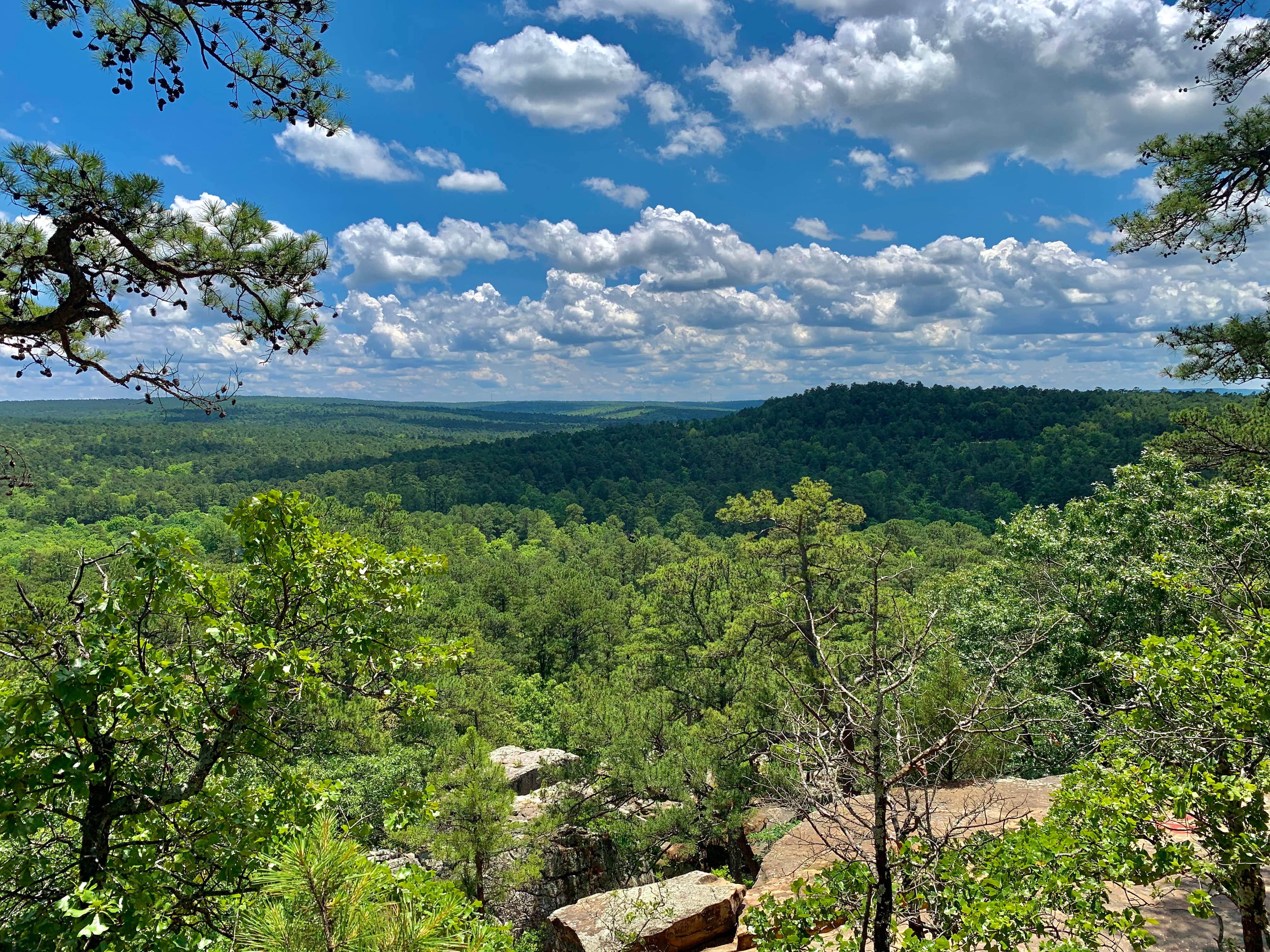 Robbers Cave | The Dyrt