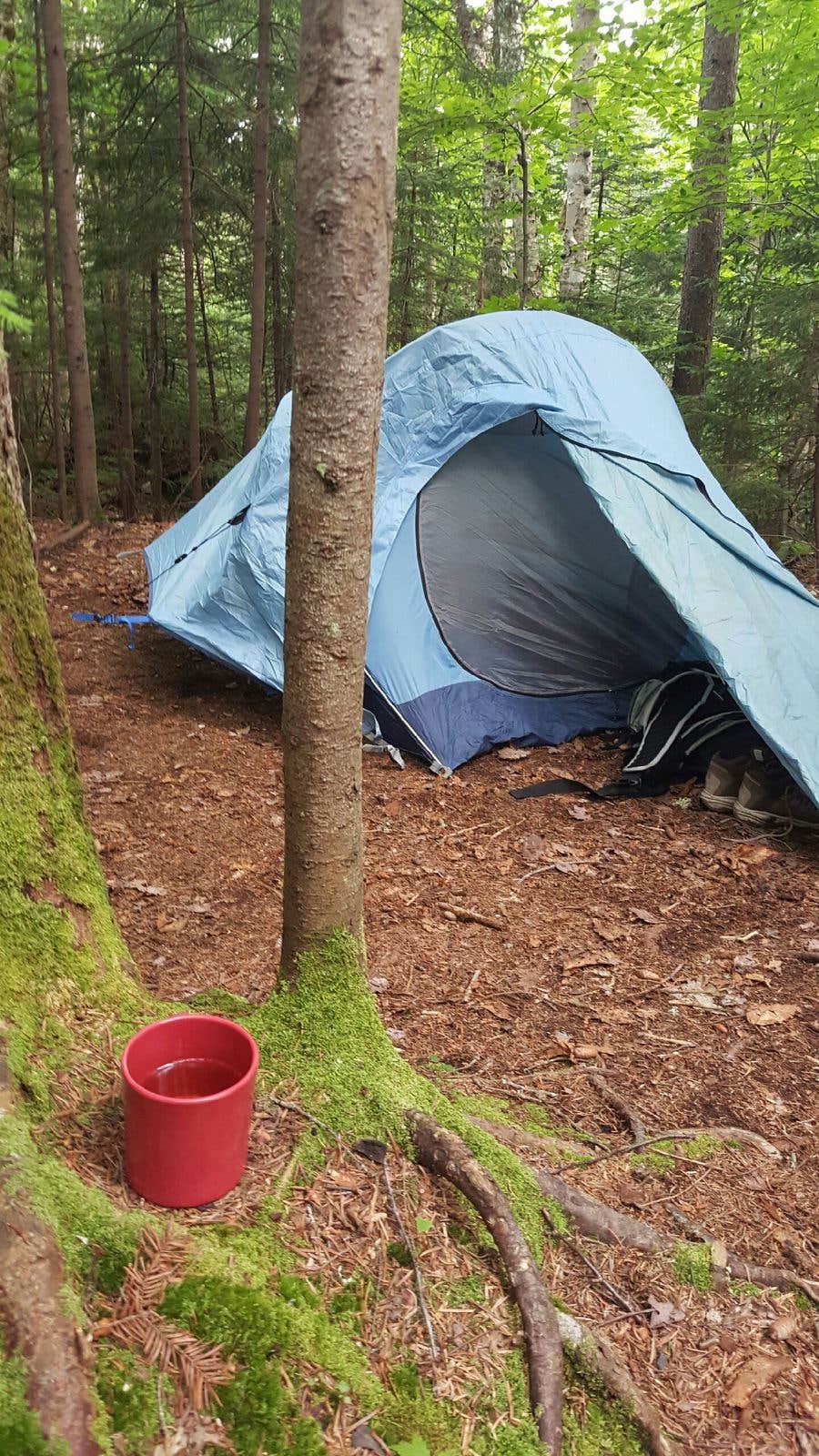 Camper-submitted photo at Grafton Loop Trail - Slide Campsite near Willimantic, ME
