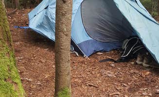 michael M.'s photo at Grafton Loop Trail - Slide Campsite near Moscow, ME