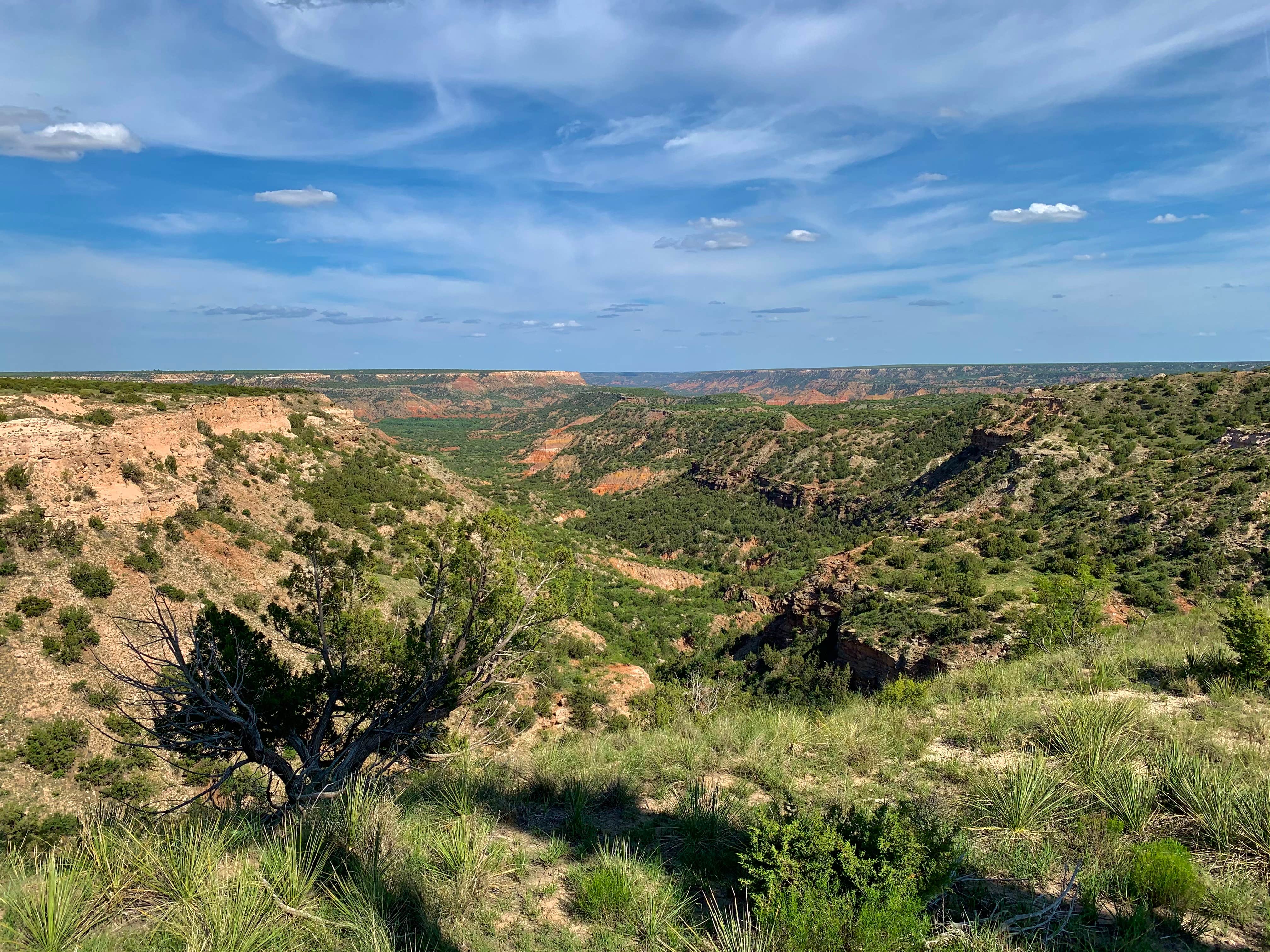 Hackberry Campground The Dyrt