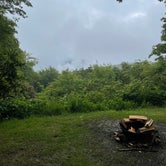 Review photo of Mile High Campground — Great Smoky Mountains National Park by Sterling H., July 9, 2021