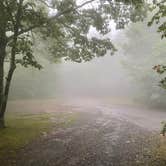 Review photo of Mile High Campground — Great Smoky Mountains National Park by Sterling H., July 9, 2021