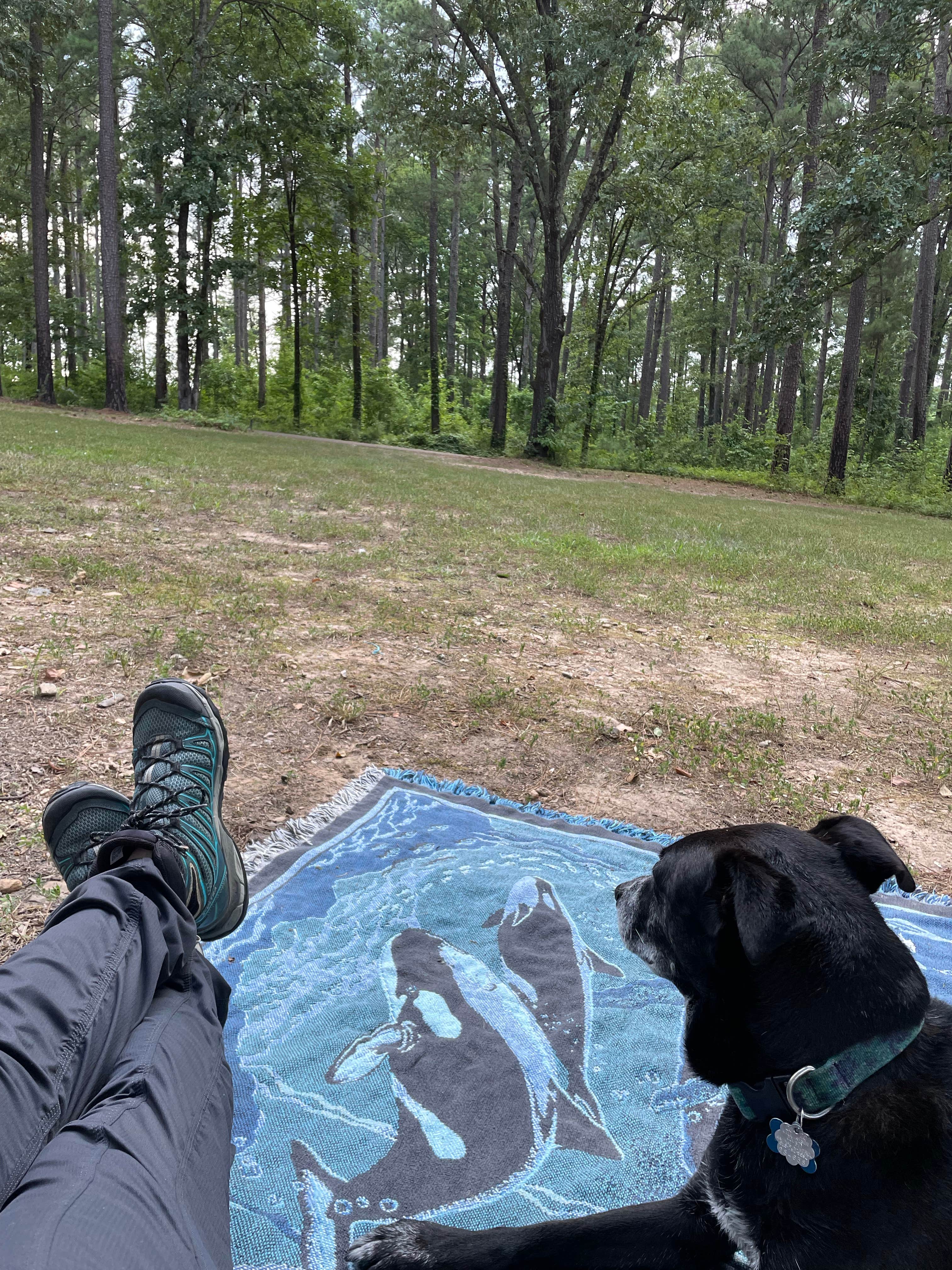 Ashley W.'s photo of camping with pets at Lenox Marcus Recreation Area & Campground near Hope, AR
