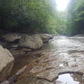 Review photo of Kentuck Campground — Ohiopyle State Park by Megan B., July 9, 2021