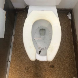 toilets in coed bathroom