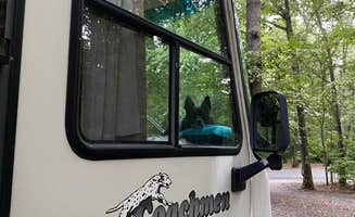 Jacqueline F.'s photo of rv camping at Bull Run Regional Park near Fairmount Heights, MD