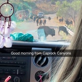 Review photo of Caprock Canyons State Park Campground by Savannah W., July 9, 2021