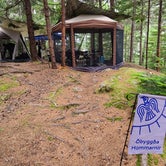Review photo of Mount Desert Campground by Timothey S., July 9, 2021