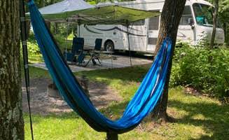 Jacqueline F.'s photo of a dispersed camping area at Shenandoah National Park Dispersed Sites — Shenandoah National Park near Ruckersville, VA
