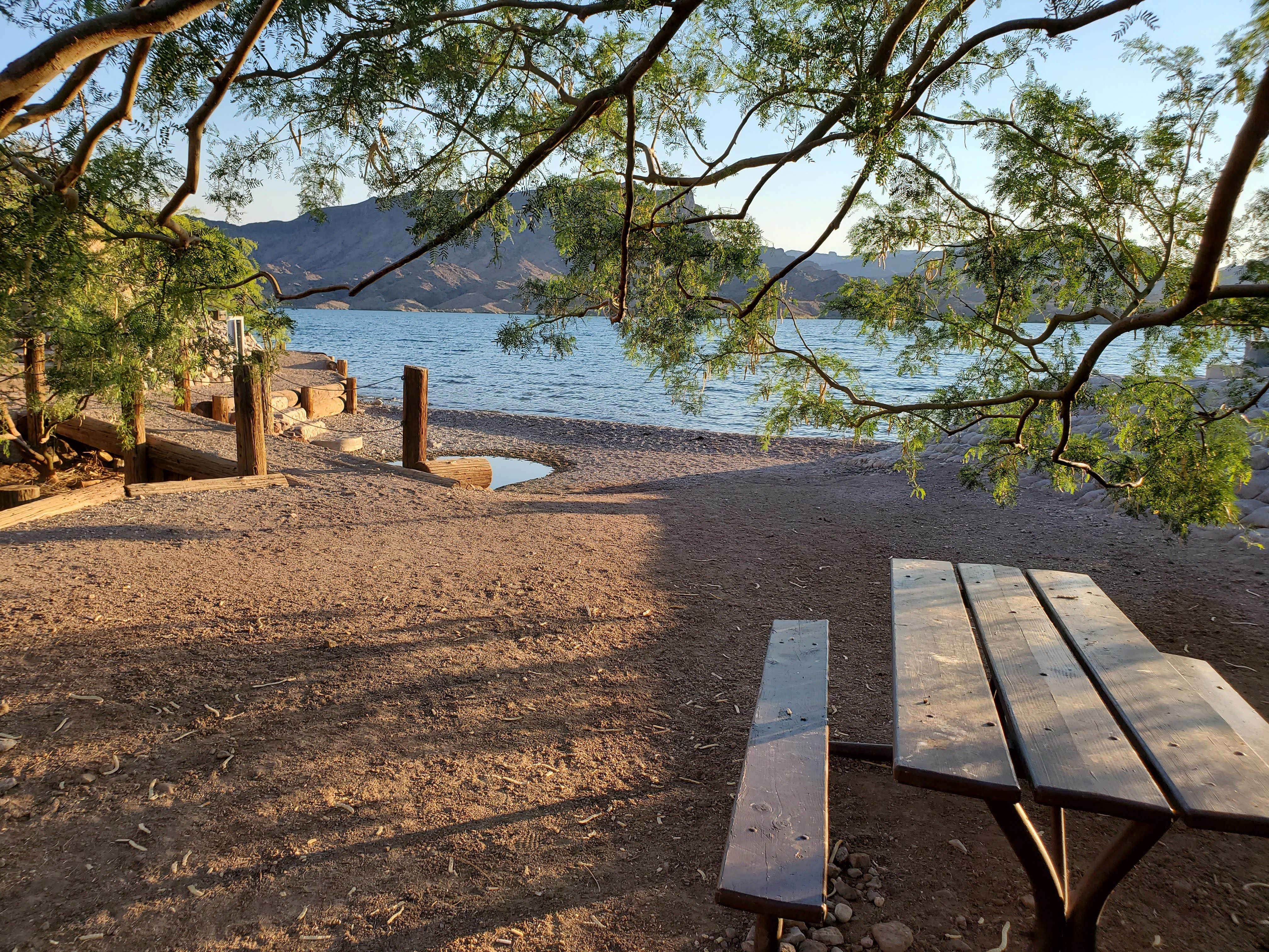 Cattail Cove State Park: Where Nature's Beauty Meets Coastal Charm