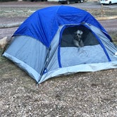 Review photo of Grand Canyon Camper Village by shiloh , July 9, 2021