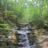 Review photo of Fairy Stone State Park Campground by Jacqueline F., July 9, 2021