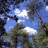 Review photo of Thousand Trails Idyllwild by Angela , July 9, 2021
