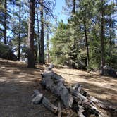 Review photo of Thousand Trails Idyllwild by Angela , July 9, 2021
