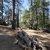Review photo of Thousand Trails Idyllwild by Angela , July 9, 2021