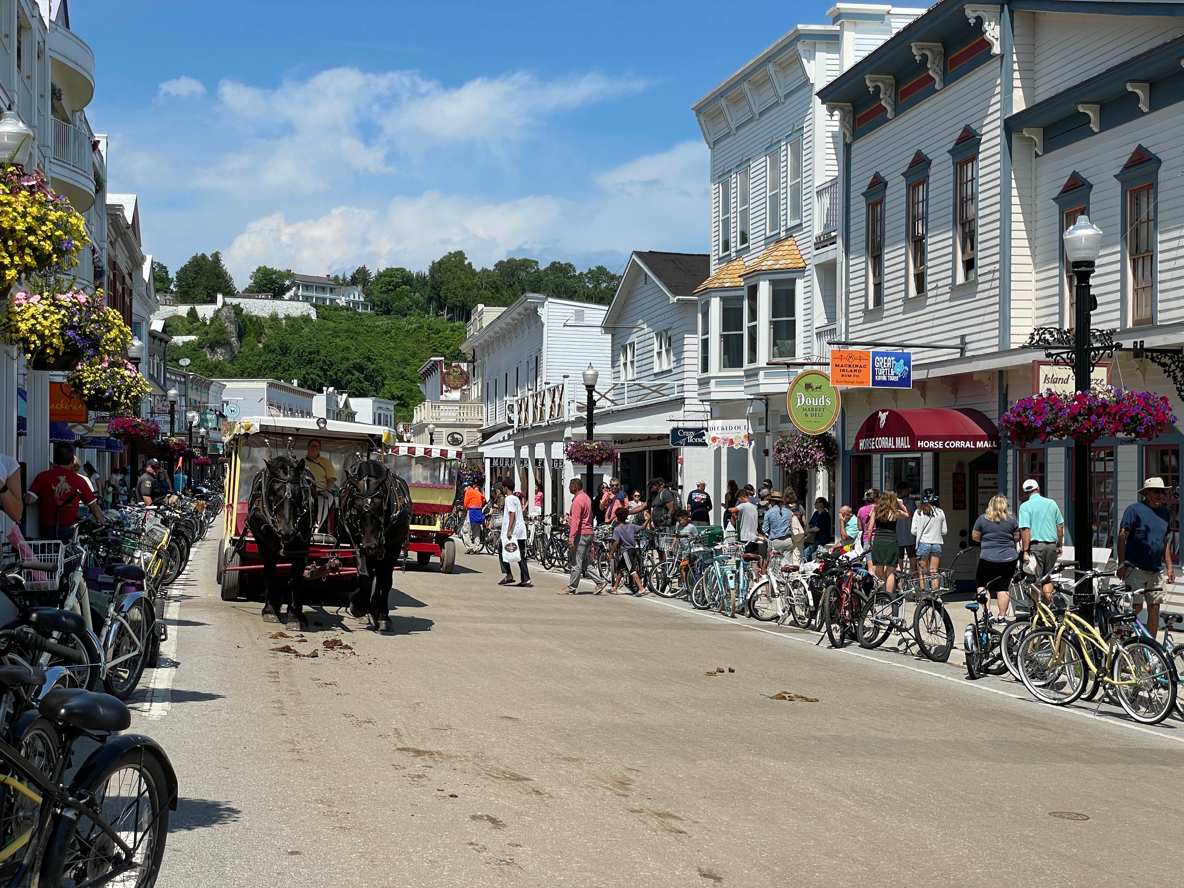 Camper-submitted photo at St. Ignace-Mackinac Island KOA near Cross Village, MI