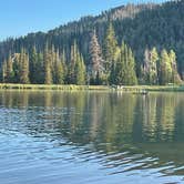 Review photo of Manti-LaSal National Forest Potters Pond Campground by Shad G., July 9, 2021