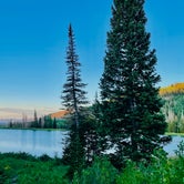Review photo of Manti-LaSal National Forest Potters Pond Campground by Shad G., July 9, 2021