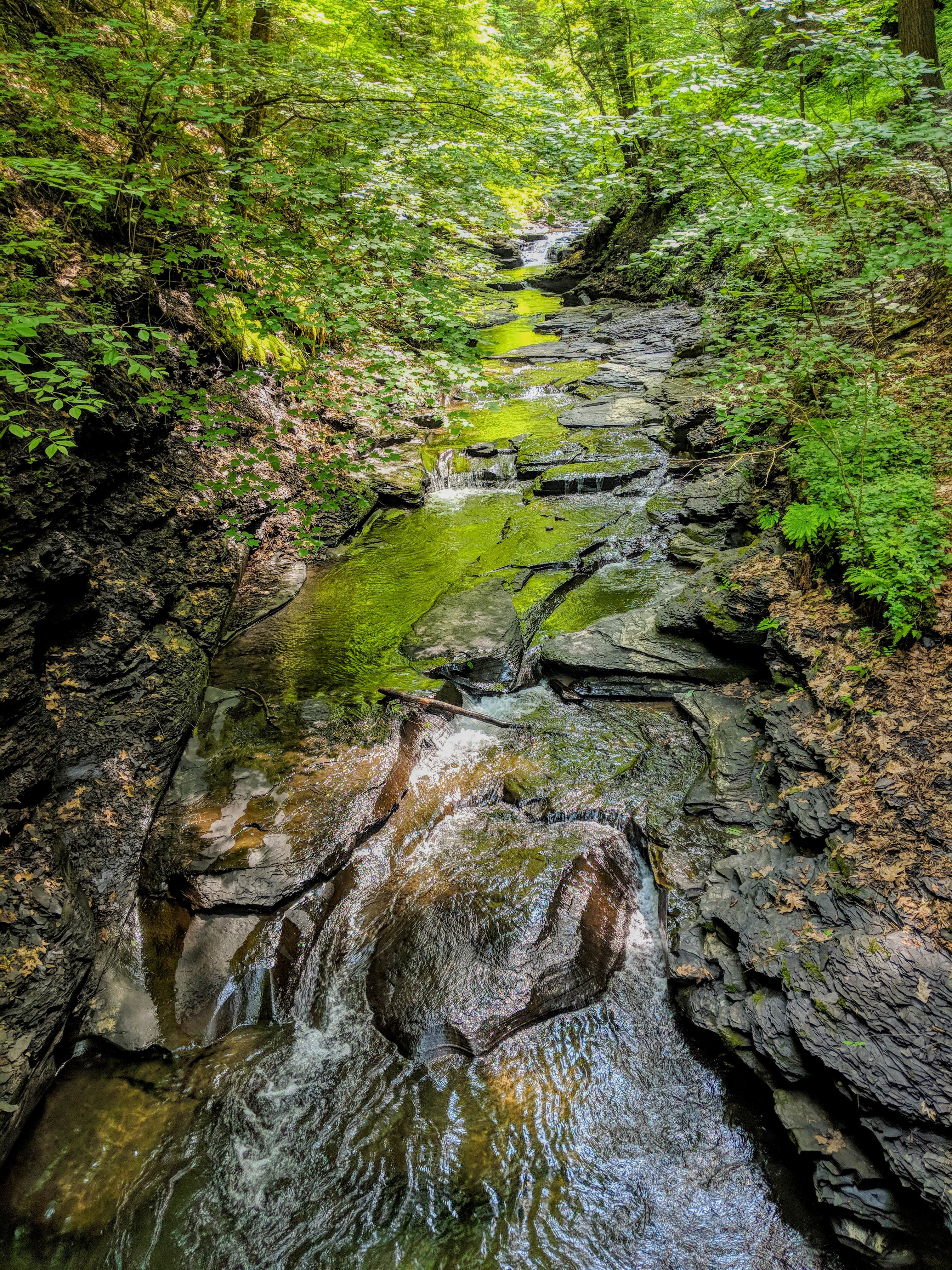 Camper-submitted photo at Fillmore Glen State Park Campground near Brooktondale, NY