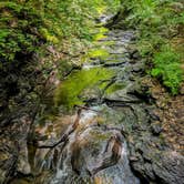 Review photo of Fillmore Glen State Park Campground by Shari  G., June 13, 2018