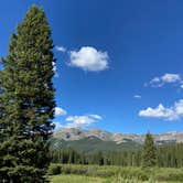 Review photo of Priest Lake Dispersed Camping Area by Yudith R., July 9, 2021