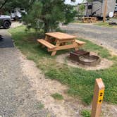 Review photo of Albany-Corvallis KOA by Gabe L., July 9, 2021