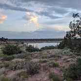 Review photo of Cove Campground — Conchas Lake State Park by Levon , July 9, 2021
